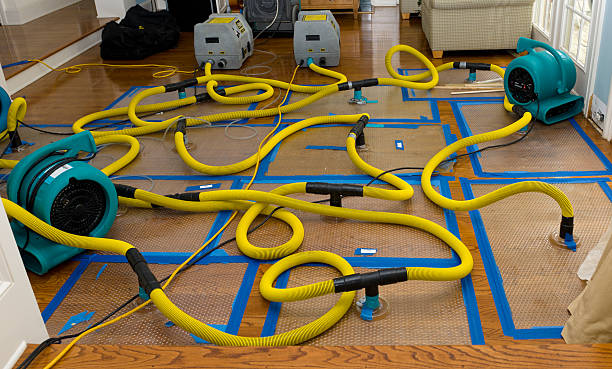 Professional Crawl Space Water Removal technician working in Fairfax, MN